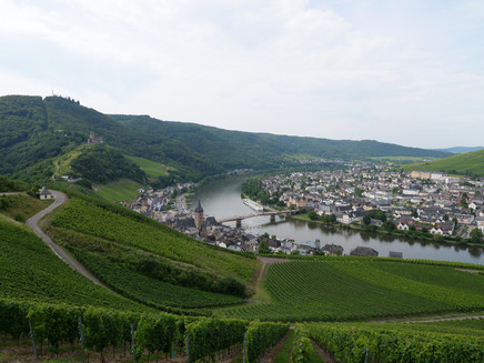 Blick von den Weinbergen auf Bernkastel-Kues